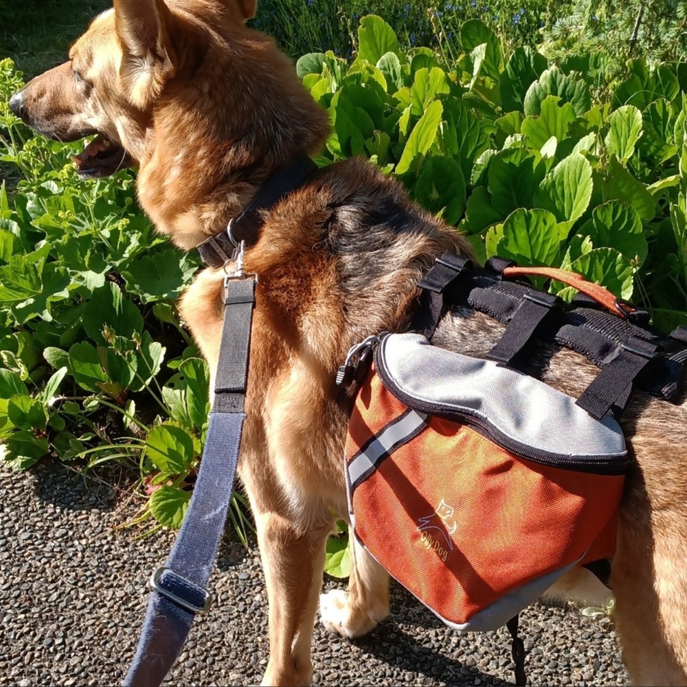Olly Dog | Adjustable Pet Harness and Backpack